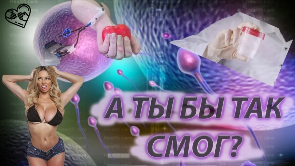 Интересные факты что лучше знать о миссионерах добрых дел и почему